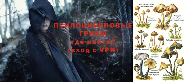 бутират Алзамай