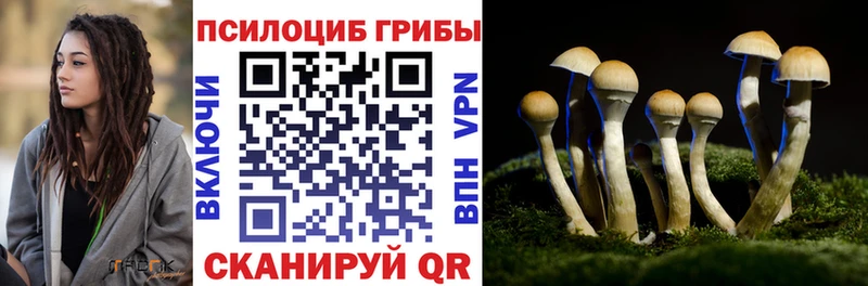 Псилоцибиновые грибы Psilocybe  купить наркотики сайты  Чёрмоз 